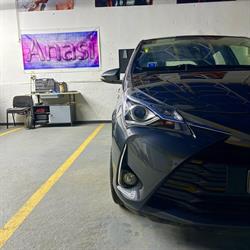 Anasi Auto Paint, Codlea program de funcționare