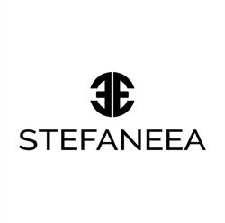 Stefaneea Atelier, Bucureşti program de funcționare
