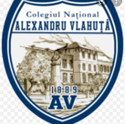 Colegiul Naţional Alexandru Vlahuţă, Râmnicu Sărat program de funcționare