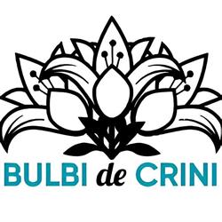 Bulbi de Crini Câmpulung Moldovenesc, program de funcționare