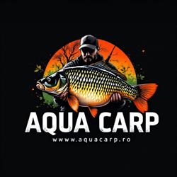 Aqua Carp, Baia Mare program de funcționare