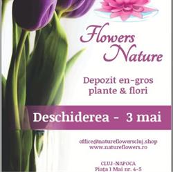 Nature Flowers Cluj, program de funcționare