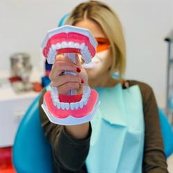 Teodent-Perfect-Smile, Suceava program de funcționare