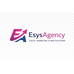 Esys Agency, Focşani program de funcționare