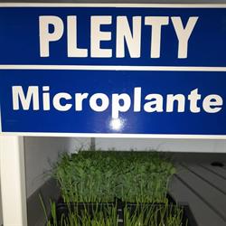 Plenty Microplante, Petrila program de funcționare