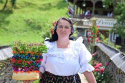 La Domnita, Poienile Izei program de funcționare