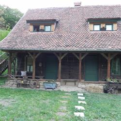 Iedera, Alba program de funcționare