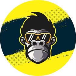 Monkeylab Art Official, Piatra-Neamţ program de funcționare
