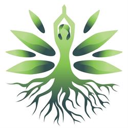 Wellness room Arad, program de funcționare