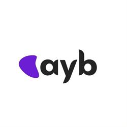 ayb, Bucureşti program de funcționare