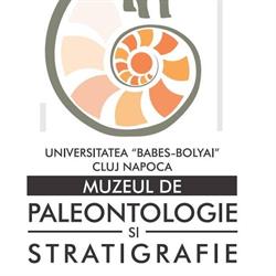 Muzeul de Paleontologie şi Stratigrafie, Cluj-Napoca program de funcționare