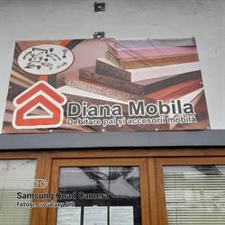 Diana Mobila, Reghin program de funcționare