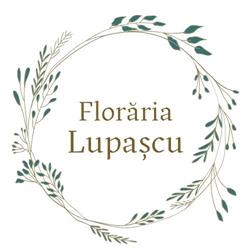 Floraria Lupascu, Roznov program de funcționare