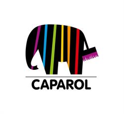 Caparol Bacau, program de funcționare