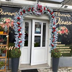 Florăria Diana, Rupea program de funcționare