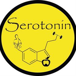 Serotonin Massage Therapy, Alba Iulia program de funcționare