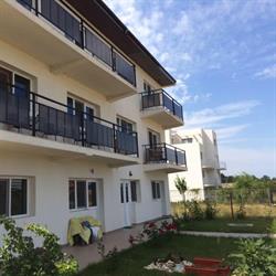 Vila Golfului, Schitu program de funcționare
