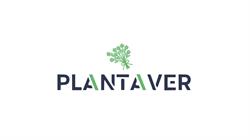 Plantaver, Bucureşti program de funcționare