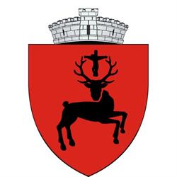 Primăria Baia, program de funcționare