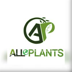 ALLe PLANTS Fito, Drănic program de funcționare