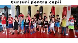 Kudokai, Sibiu program de funcționare