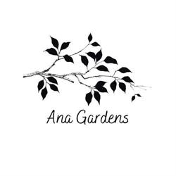 Ana Gardens, Brăila program de funcționare