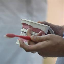 Napoca Dental-Clinica Stomatologica Floresti, program de funcționare