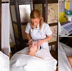 Laura Salon, Craiova program de funcționare