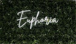 Euphoria Drinks & Food, Salonta program de funcționare
