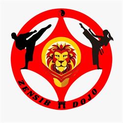 ZenSib DOJO, Sibiu program de funcționare