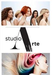 Arte studio, Arad program de funcționare