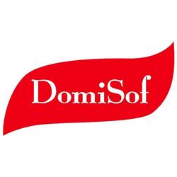 DomiSof, Voluntari program de funcționare