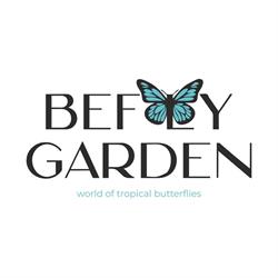 befly.ro, Iaşi program de funcționare