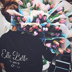 Elle Belle, Satu Mare program de funcționare