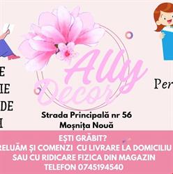 Ally Decor, Moşniţa Nouă program de funcționare