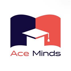 Ace Minds, Bucureşti program de funcționare
