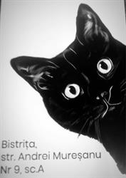 Moldovet - cabinet veterinar, Bistriţa program de funcționare