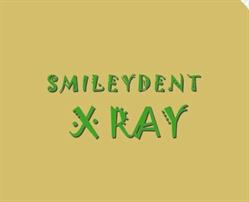 SmileyDent Gherla, program de funcționare