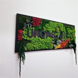 PerfectDesign, Bucureşti program de funcționare