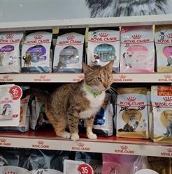 Pet Shop Repono, Oradea program de funcționare