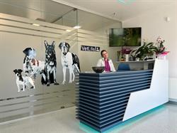 Cabinet Veterinar VET LIFE Bistrita, program de funcționare