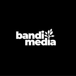 Bandi Media - Agenţie de Marketing, Oradea program de funcționare