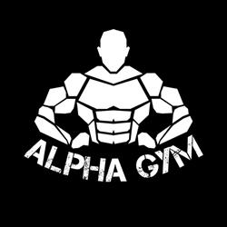 Alpha Gym, Dej program de funcționare
