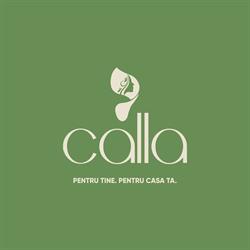 Calla Fântânele, Arad program de funcționare