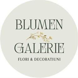 Blumen Galerie, Focşani program de funcționare
