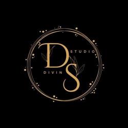 Divin Studio, Satu Mare program de funcționare
