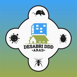 Desabri, Arad program de funcționare