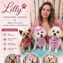 Coafura canina & Frizerie Lilly, Oradea program de funcționare