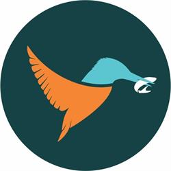 Magazin Kingfisher, Sighetu Marmaţiei program de funcționare