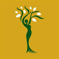Kinesiana, Vatra Dornei program de funcționare